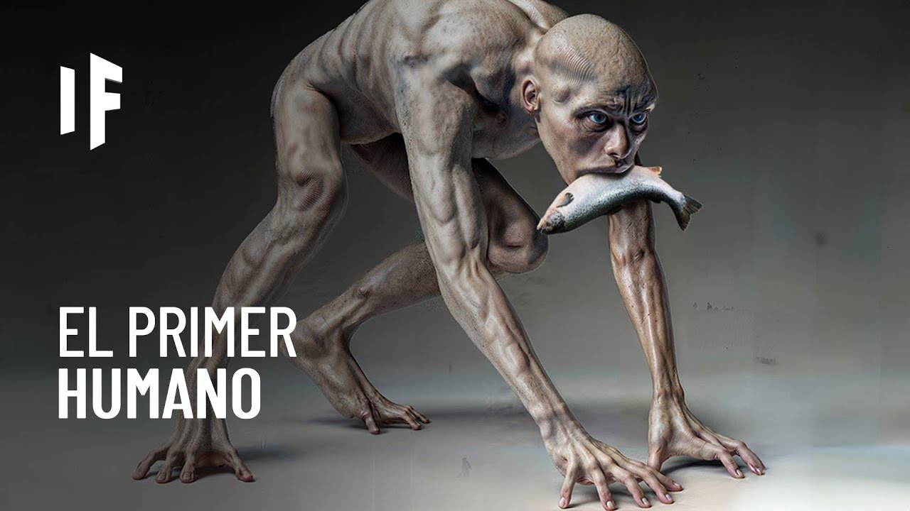 cadena de la evolucion del hombre