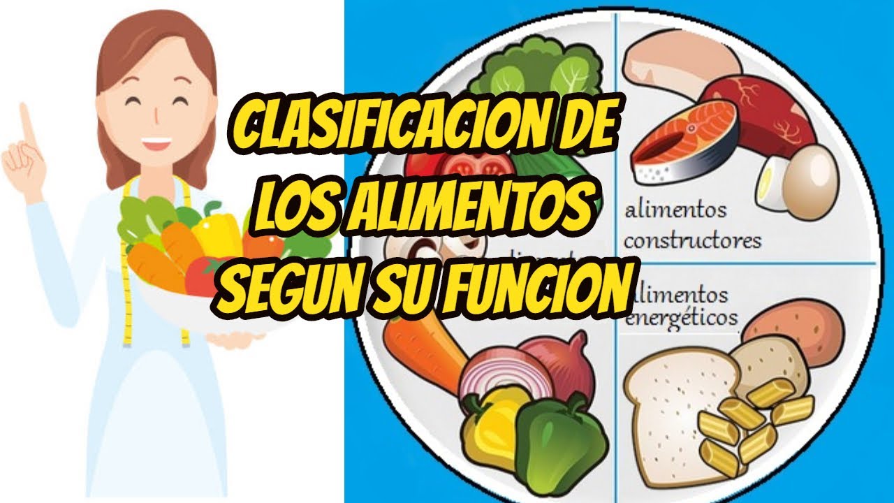 clasificacion de los alimentos por su consistencia