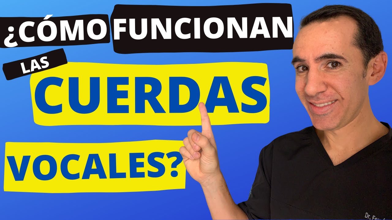 como funcionan las cuerdas vocales al cantar