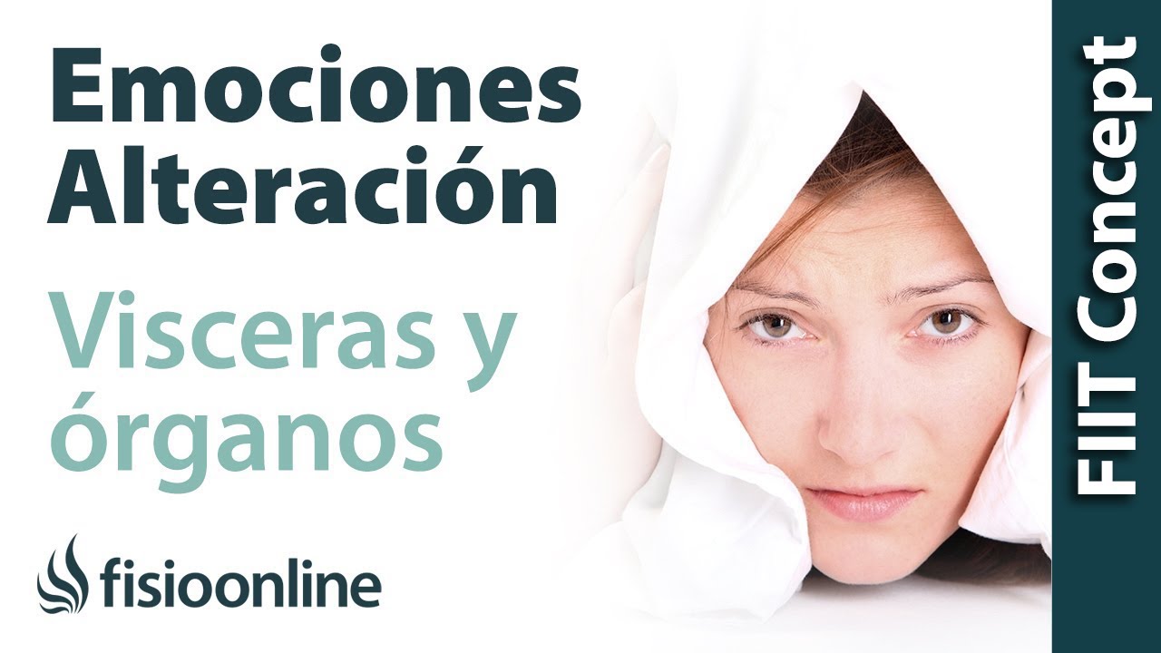 como pueden ser afectados los organos de nuestro cuerpo