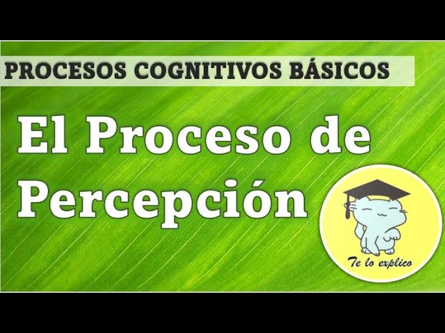 cuales son los procesos de percepcion