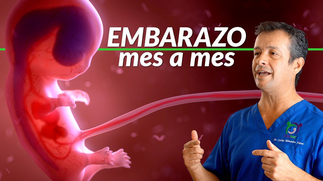 desarrollo del bebe mes a mes