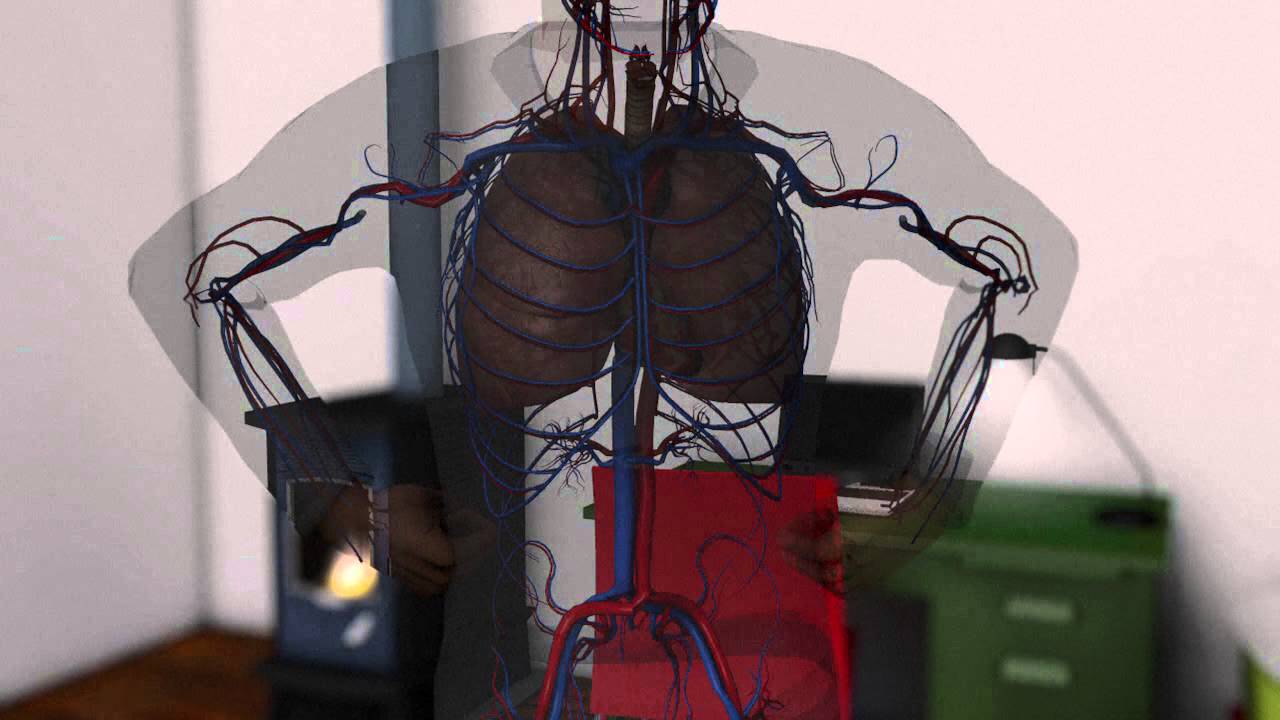 falta de carbono en el cuerpo