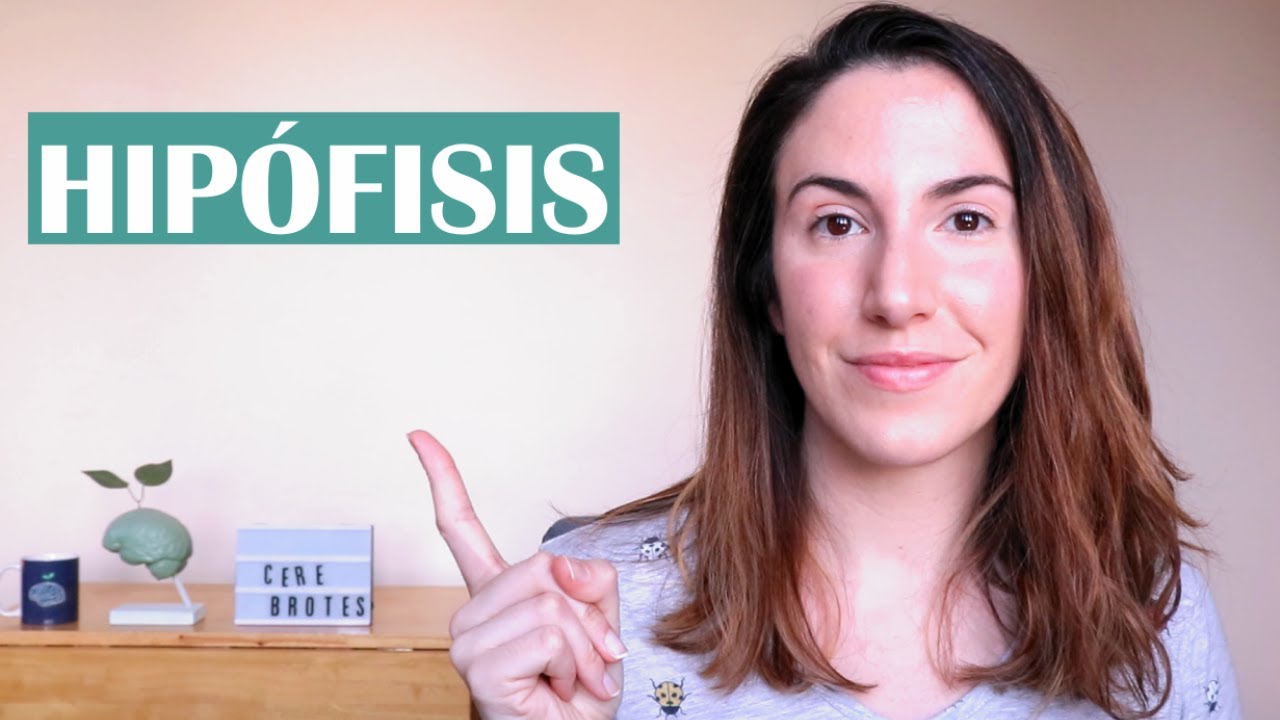 funcion de la glandula hipofisis o pituitaria