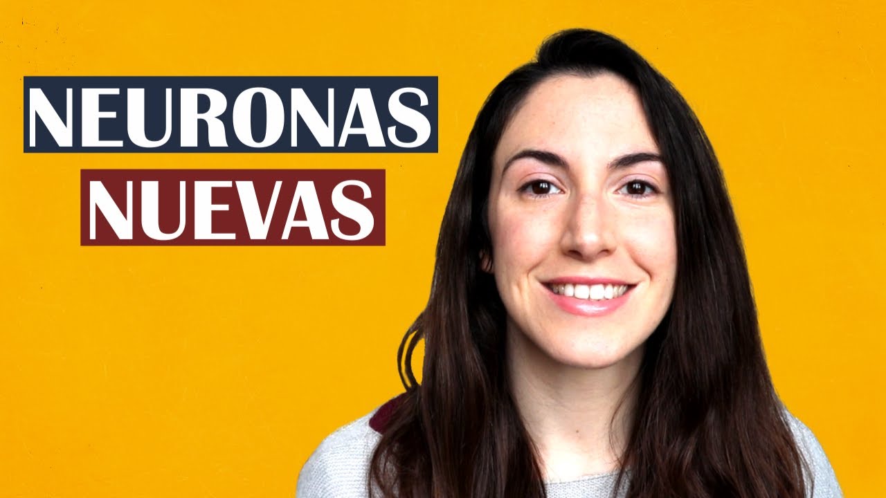 hasta que edad se regeneran las neuronas