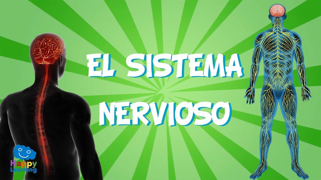 porque es importante cuidar el sistema nervioso