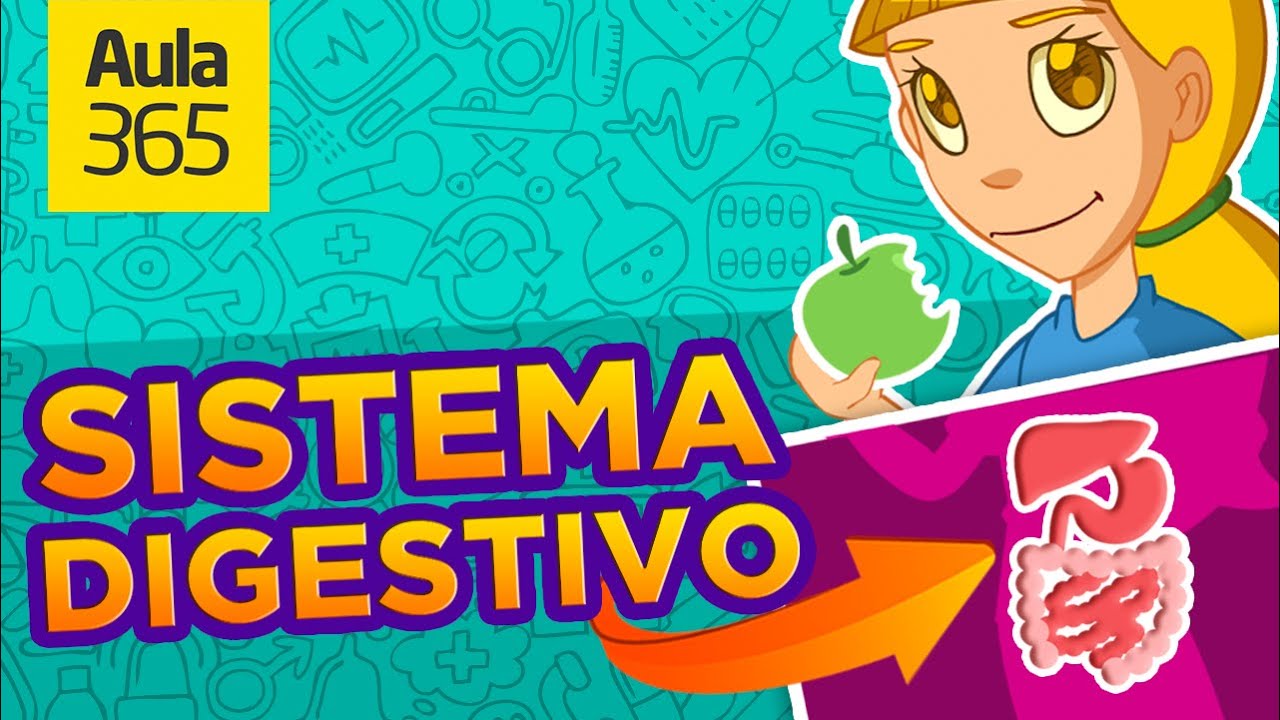 porque es importante el proceso digestivo