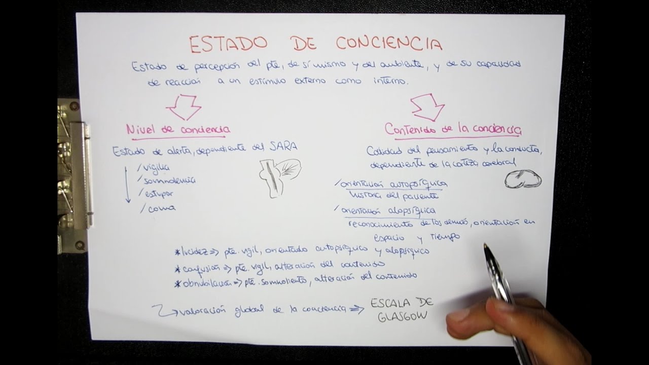 que es el estado de conciencia