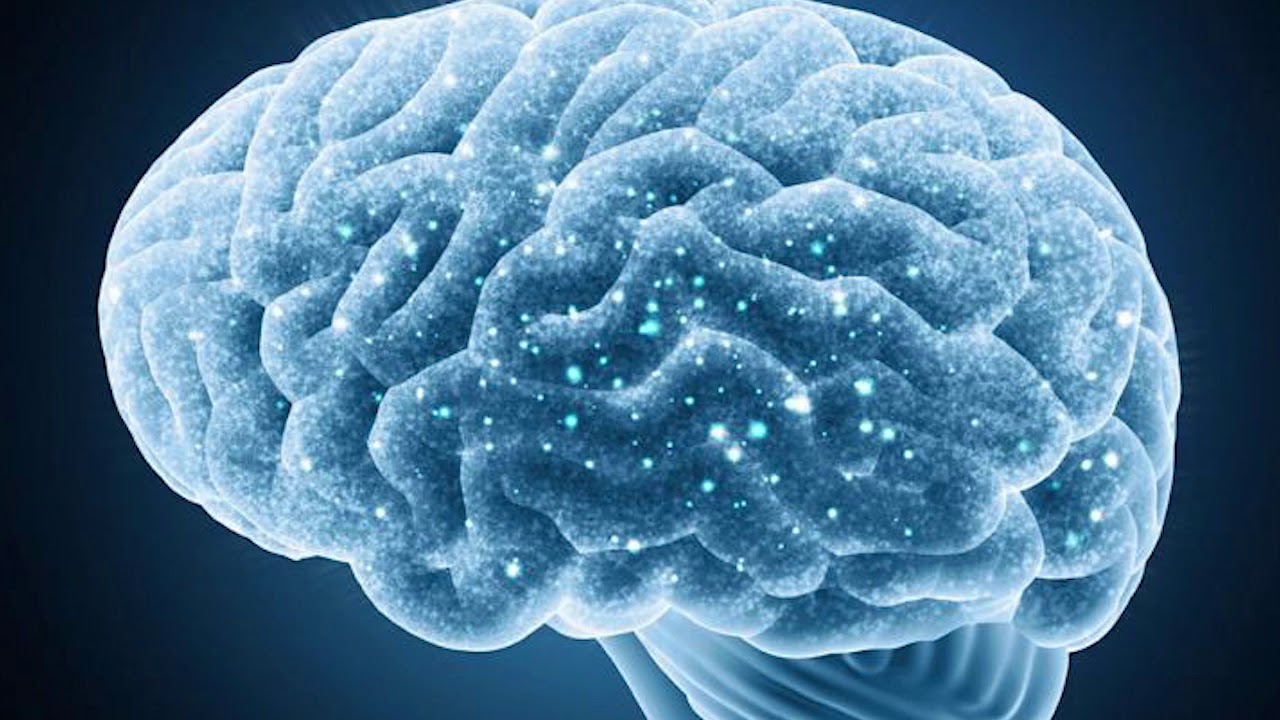 que se daña cuando tomas alcohol