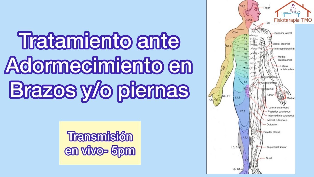 adormecimiento pierna izquierda y brazo izquierdo