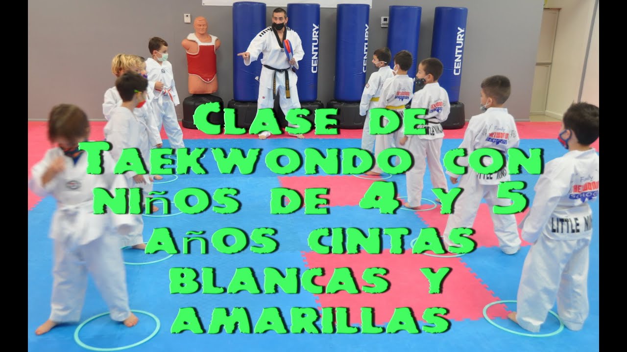 clases de taekwondo para niños en guadalajara