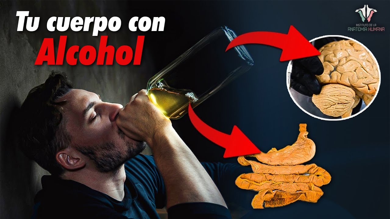 como afecta el alcohol al cuerpo