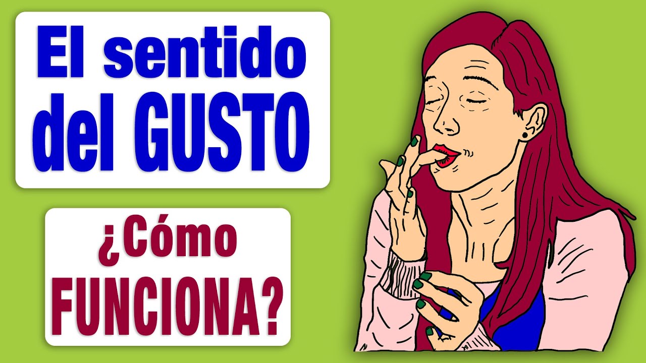 cual es el organo del sentido del gusto