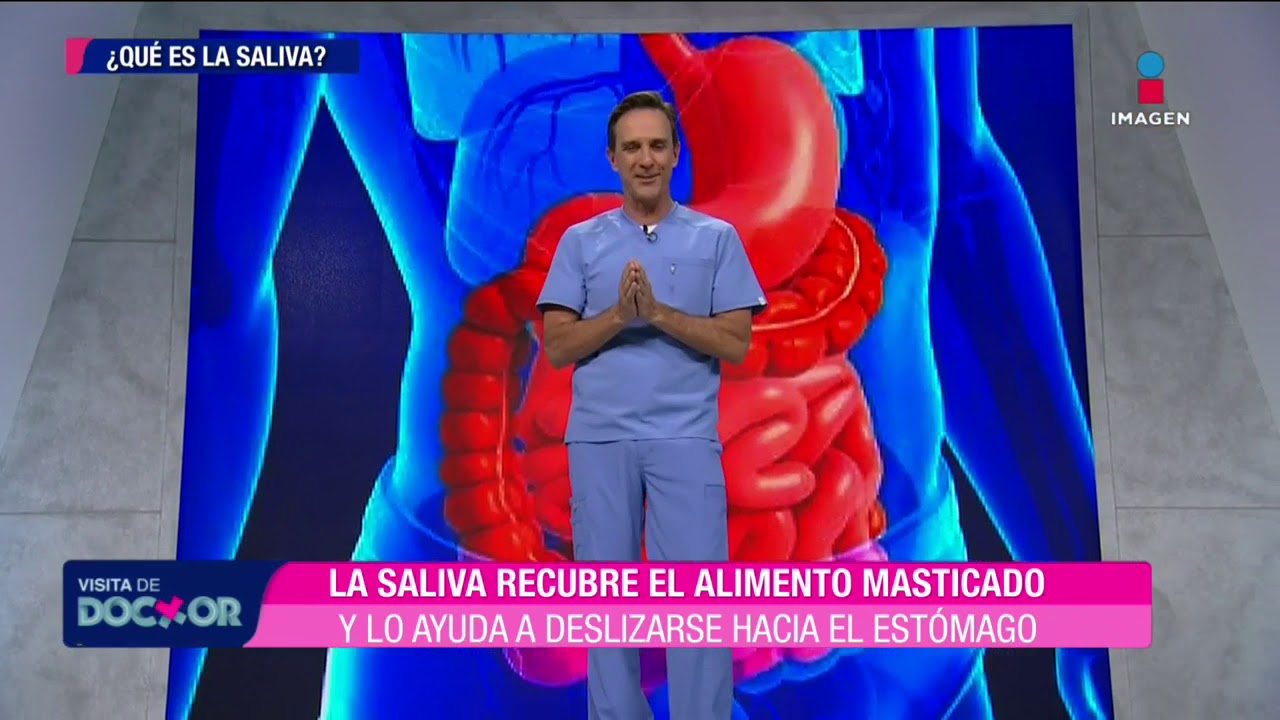cual es la funcion de la saliva