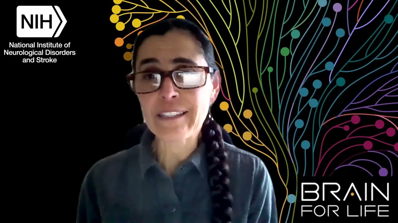 cuando se termina de desarrollar el cerebro