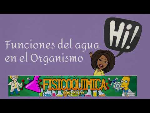 funciones del agua en nuestro cuerpo