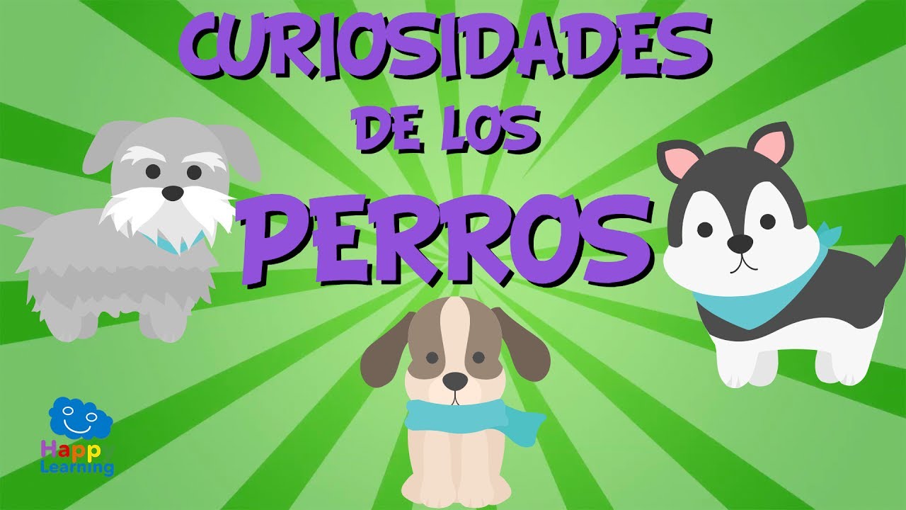informacion sobre el perro para niños