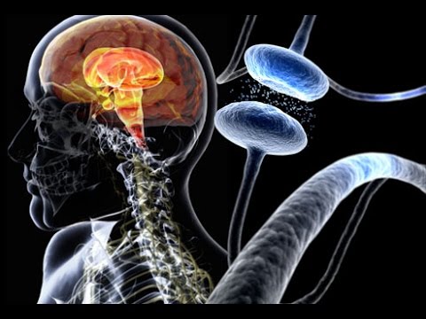 patologia de la enfermedad de parkinson
