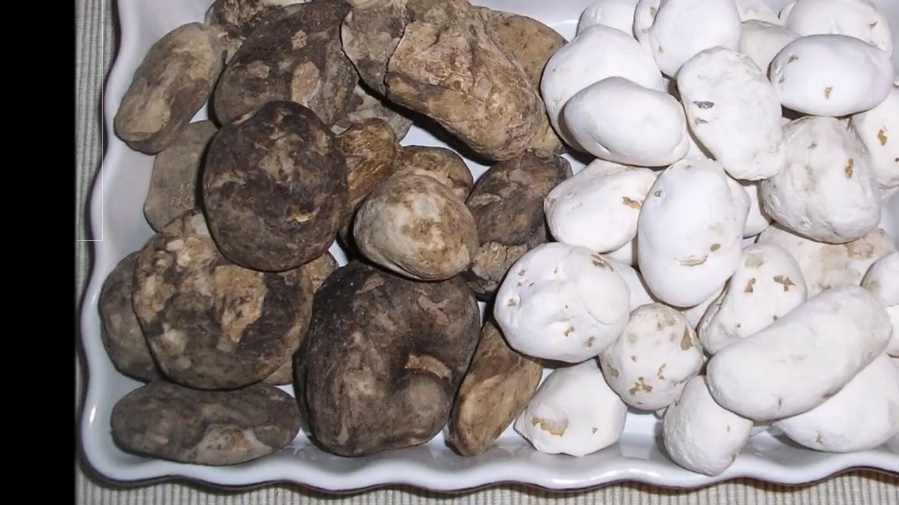 que es el chuño y para que sirve