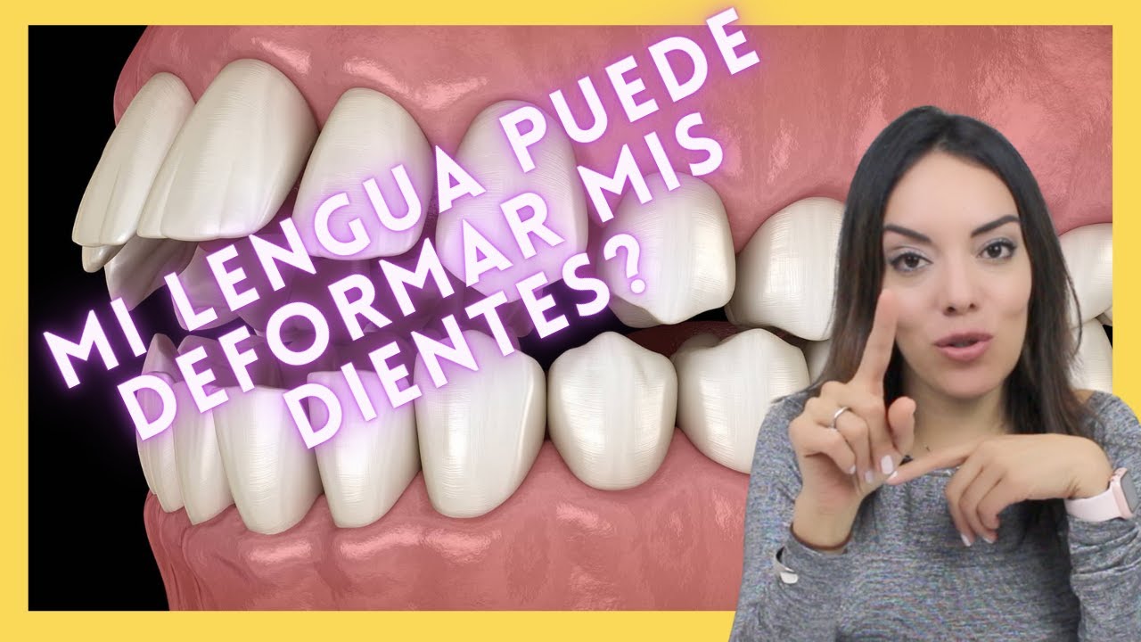 que funcion cumplen los dientes la lengua y la saliva