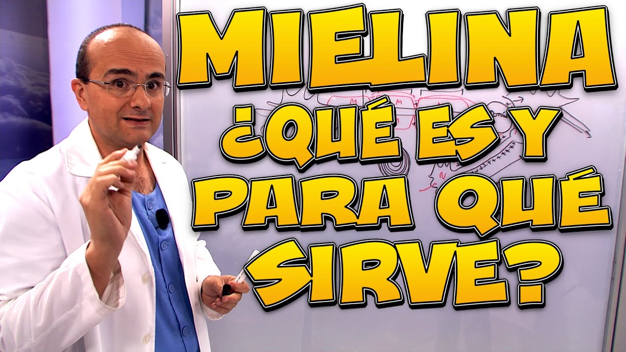 que tipo de sustancia es la mielina