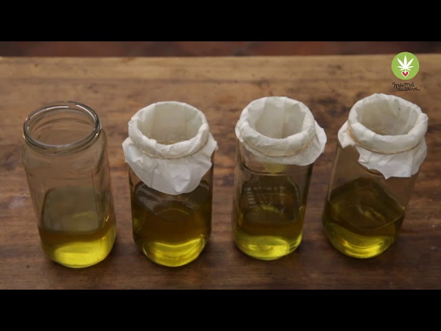 receta aceite de cannabis mama cultiva