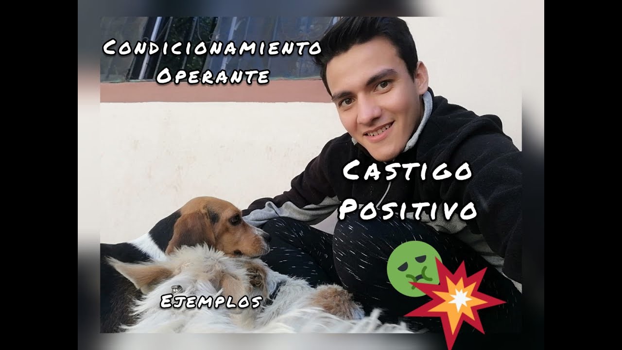 4 situaciones de la vida cotidiana