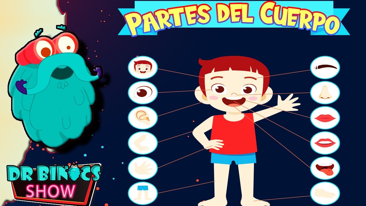 a que partes del cuerpo hay que prestar especial atencion