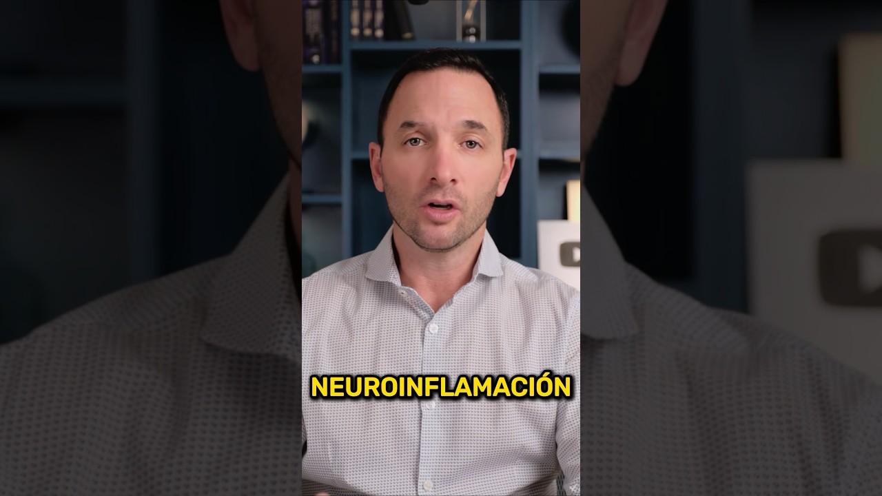 alzheimer es una enfermedad cronica degenerativa