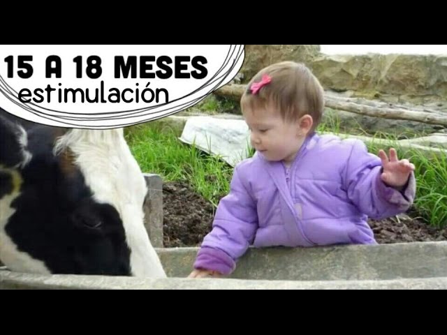 bebe de 1 año y medio