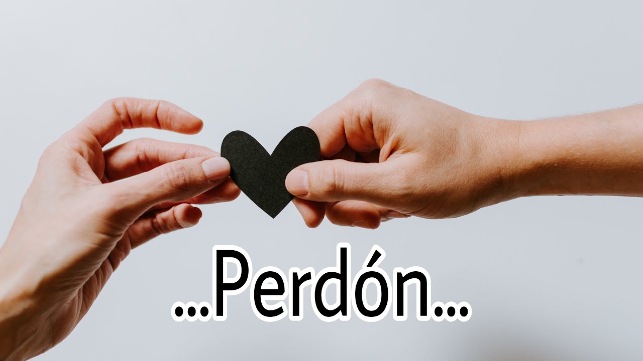 carta para pedir perdon por un error