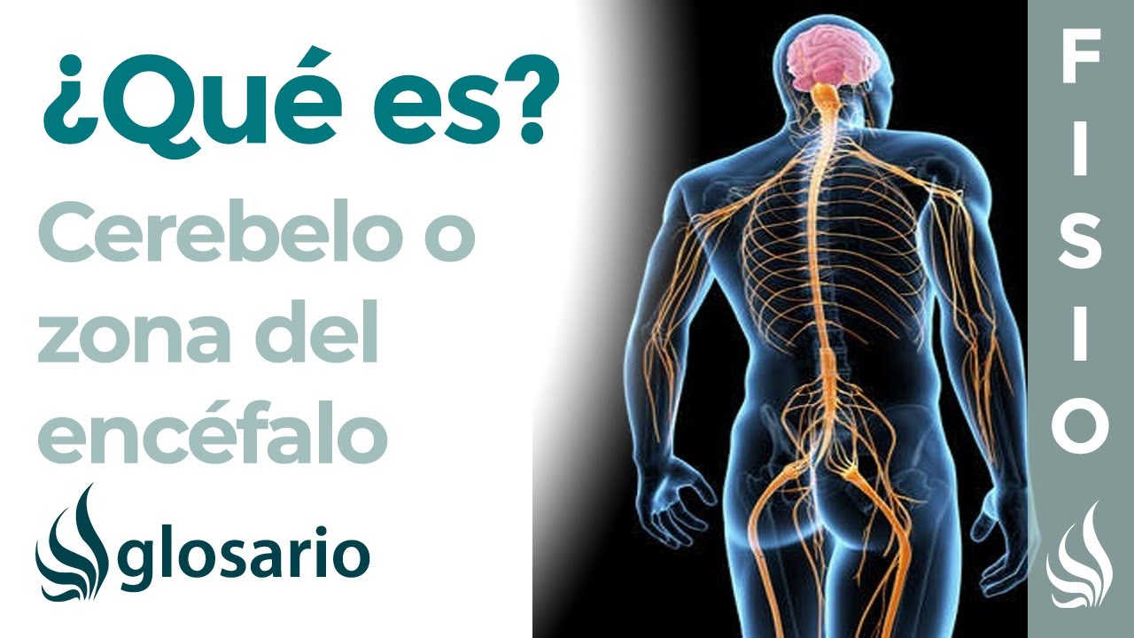 consecuencias de una lesión en el cerebelo