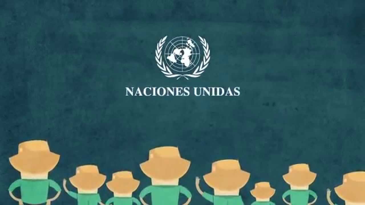 convencion de las personas con discapacidad resumen