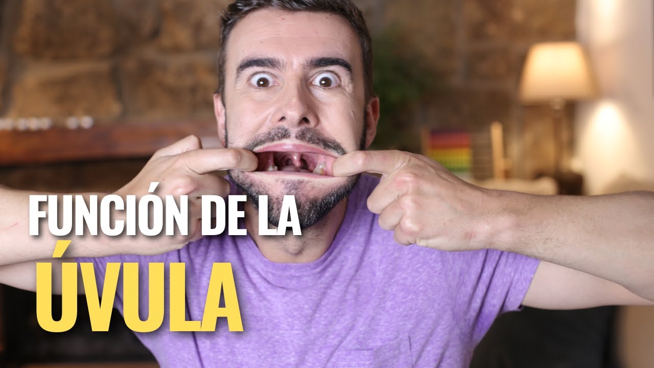 cual es la funcion de la uvula
