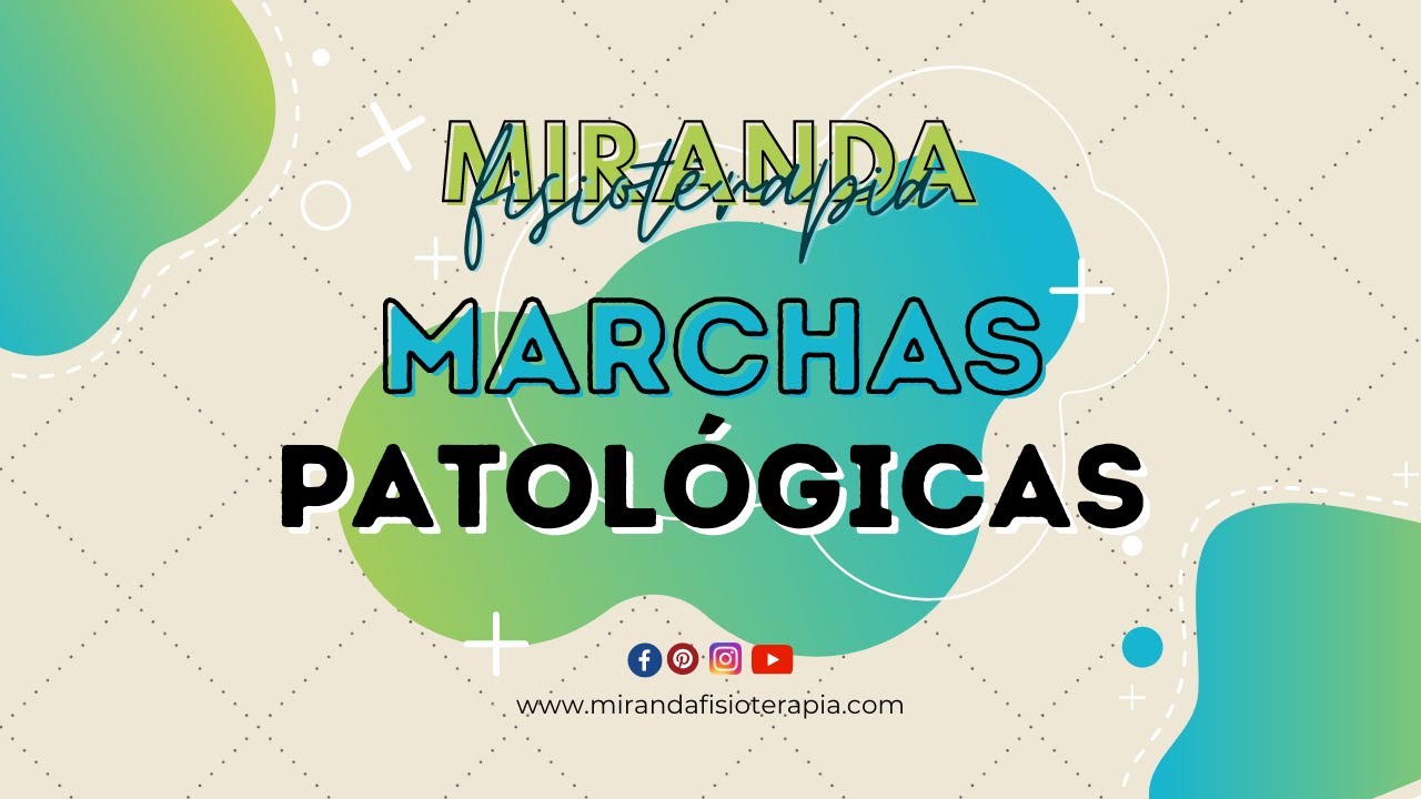 cuales son los tipos de marcha