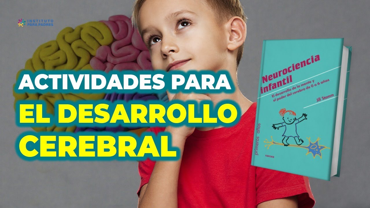 desarrollo del cerebro de 0 a 6 años