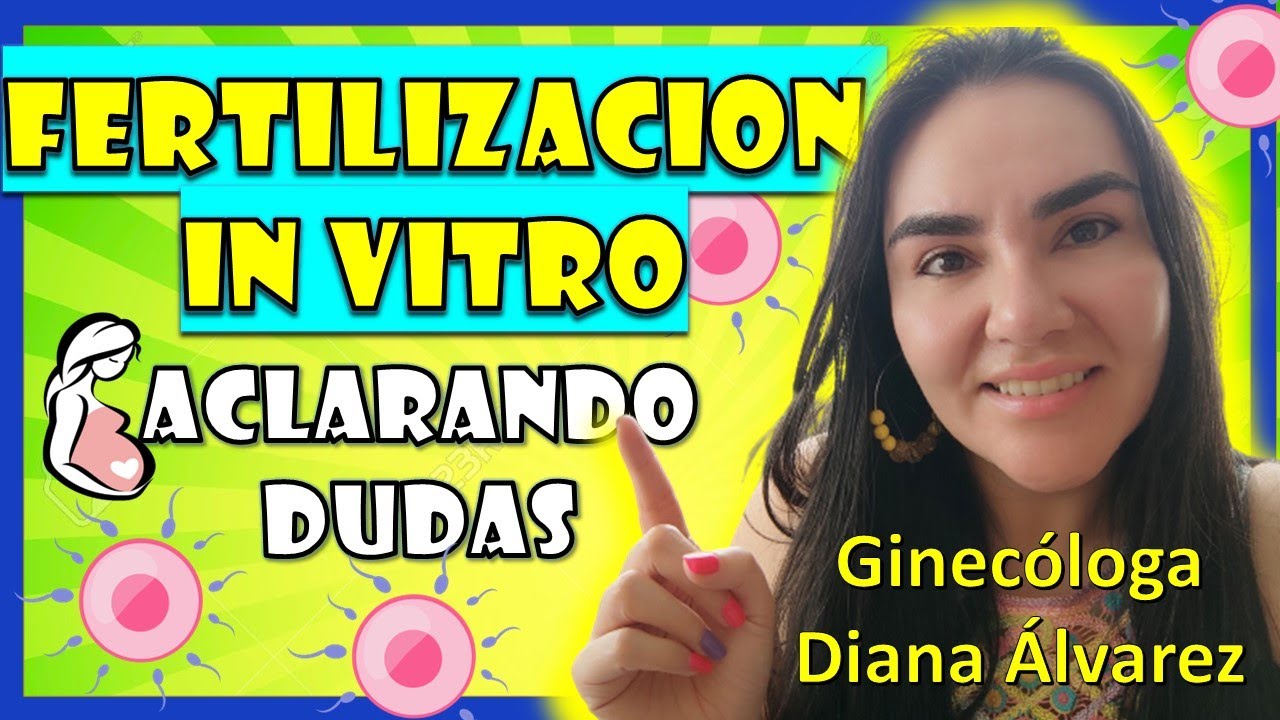 diario de una fecundación in vitro
