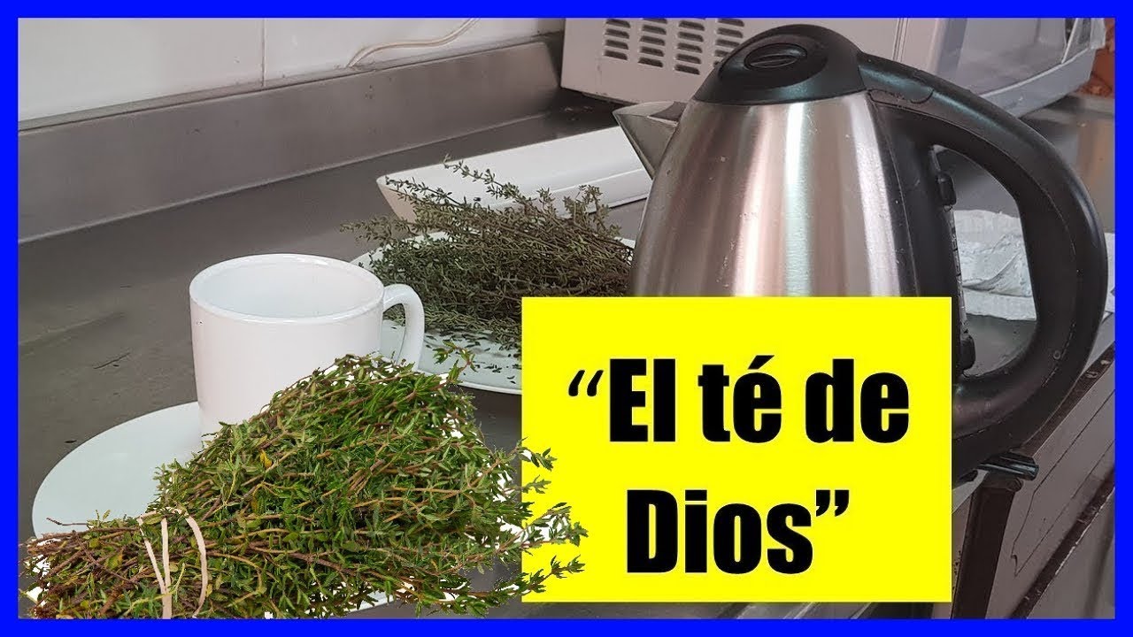 el te de dios cura el cansancio