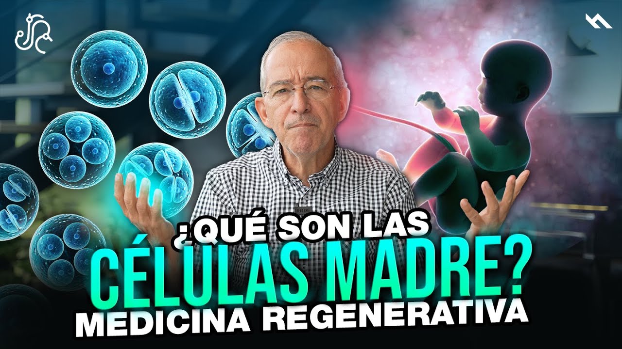 en que se diferencia una celula madre de una especializada