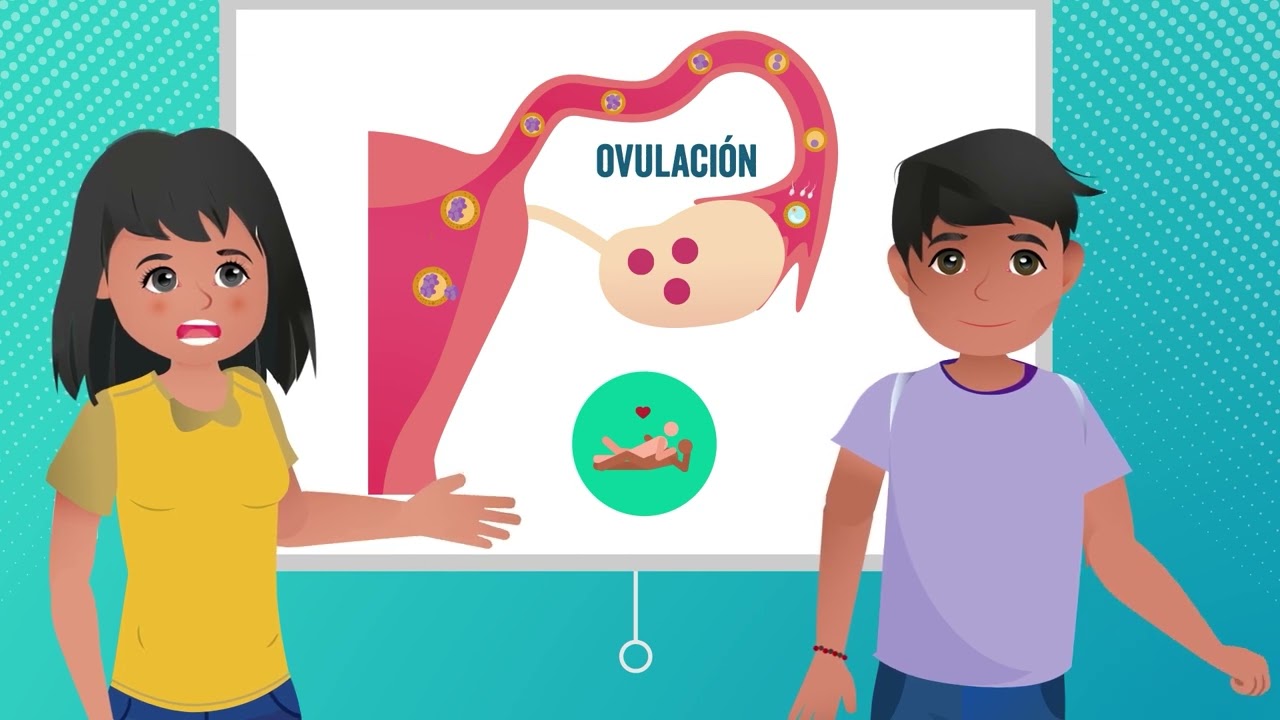 explicacion del ciclo menstrual para adolescentes