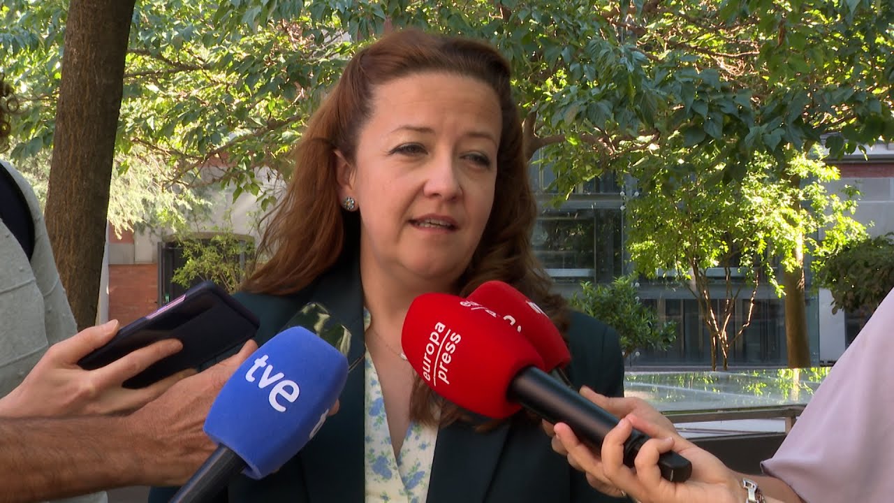 guia cuidados paliativos comunidad de madrid