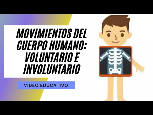 los siguientes son movimientos voluntarios excepto