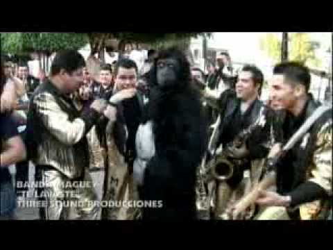 me lave la cara y el mono no