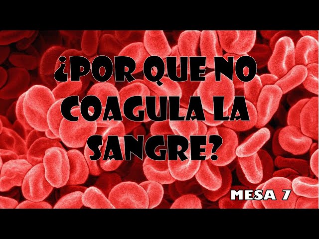 motivos por los que la sangre no coagula