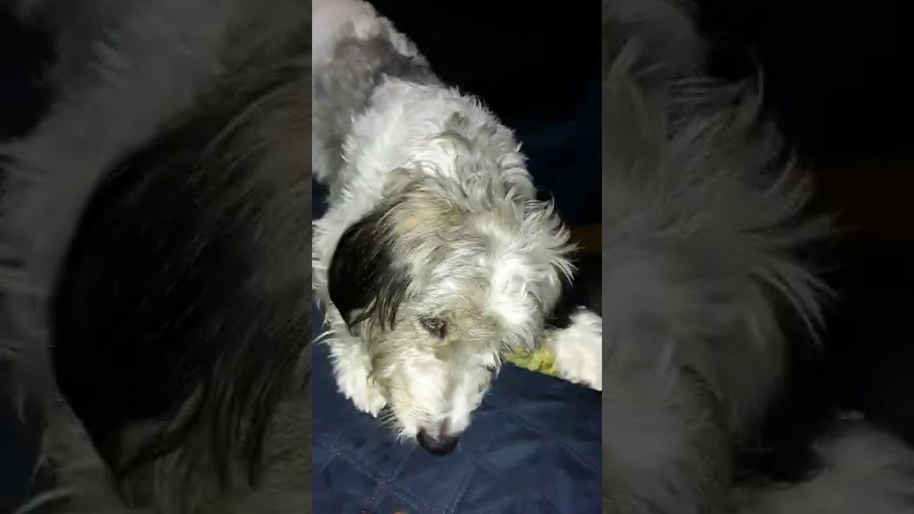 no me gusta que toquen mis cosas