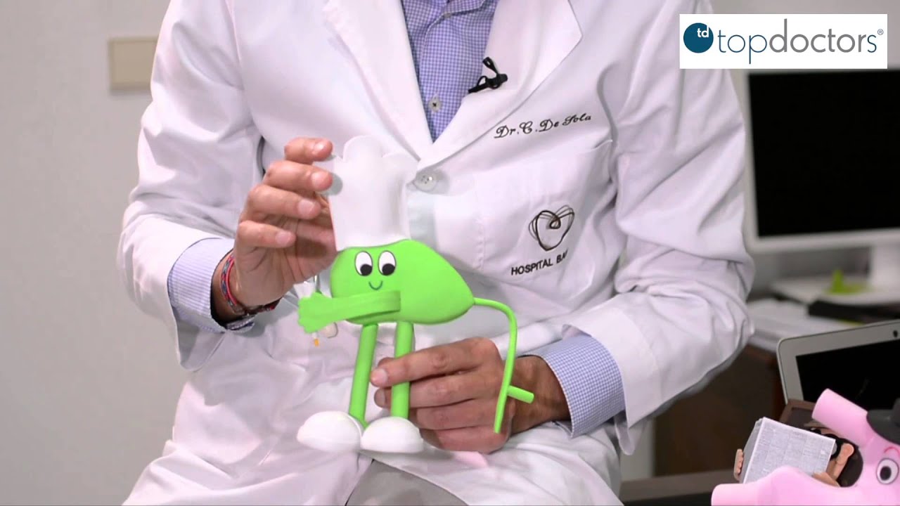 organos involucrados en el sistema digestivo