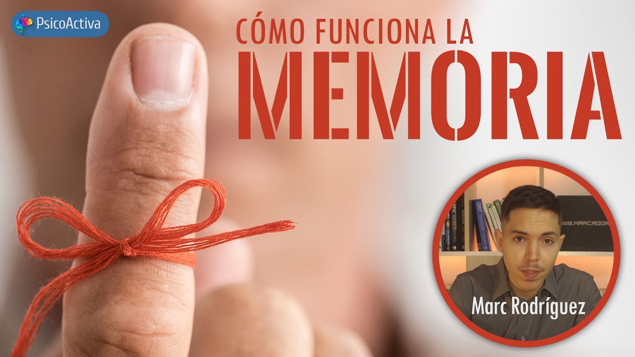 parte del cerebro que se encarga de la memoria