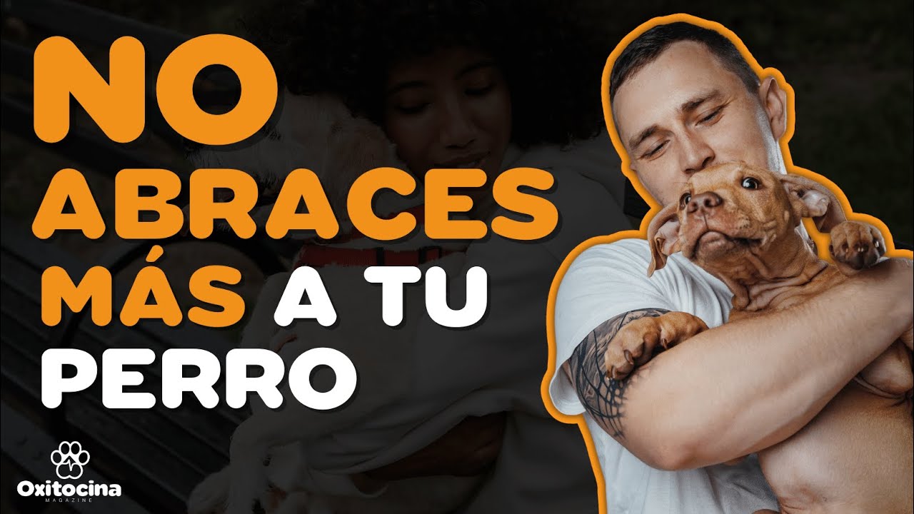 porque a mi perro no le gusta que lo abrace
