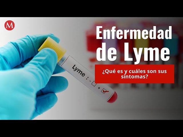 que es la enfermedad de lyme disease