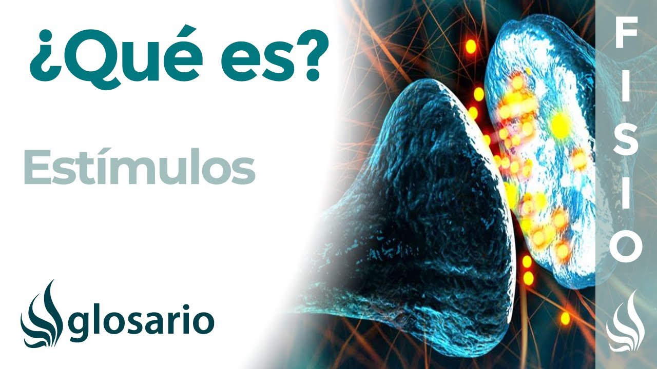 que es un estimulo en el sistema nervioso
